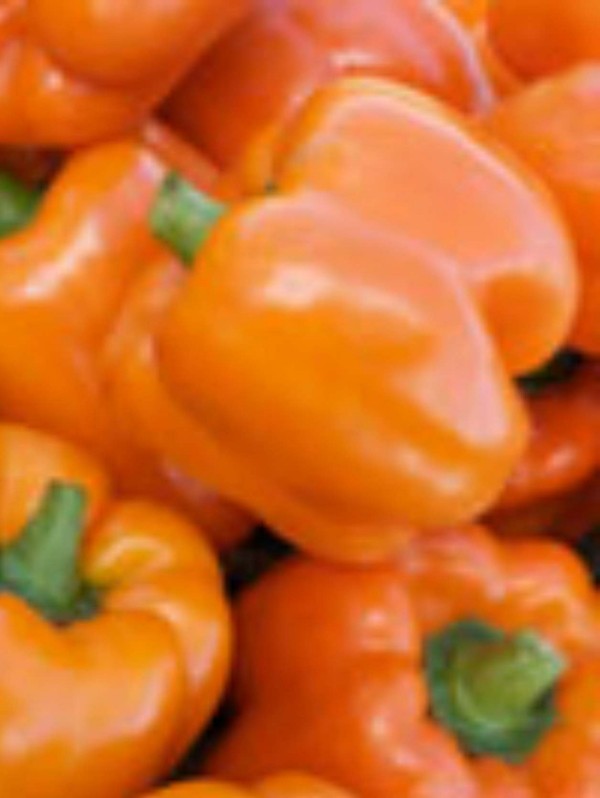 Pepper Cubo orange