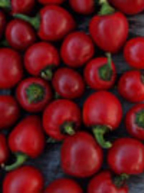 Chilli Red cherry