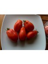Tomato San marzano 2