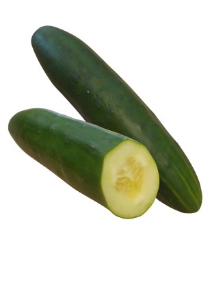 Cucumbers Tanja